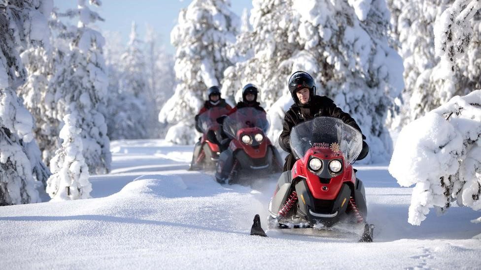 Snowmobiles traveling through snowy forest path.