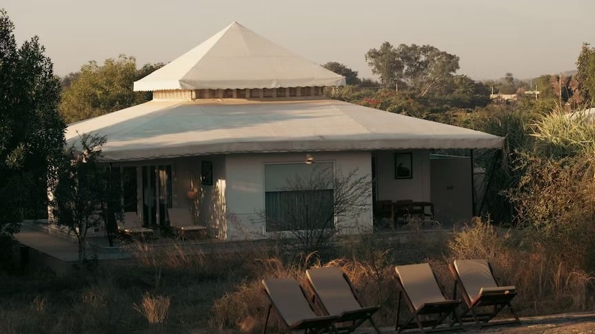 Modern cabin with loungers in natural setting