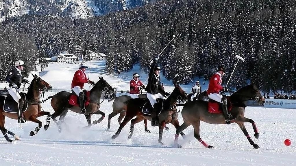 Polo match on snowy field with mountain backdrop.