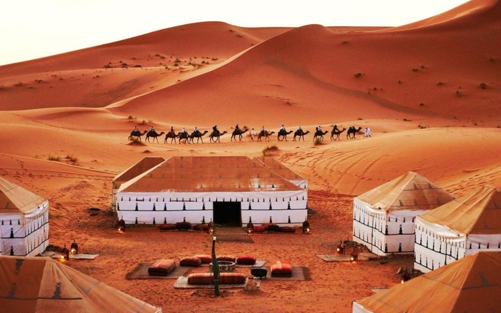 Desert camp with camels at sunset.