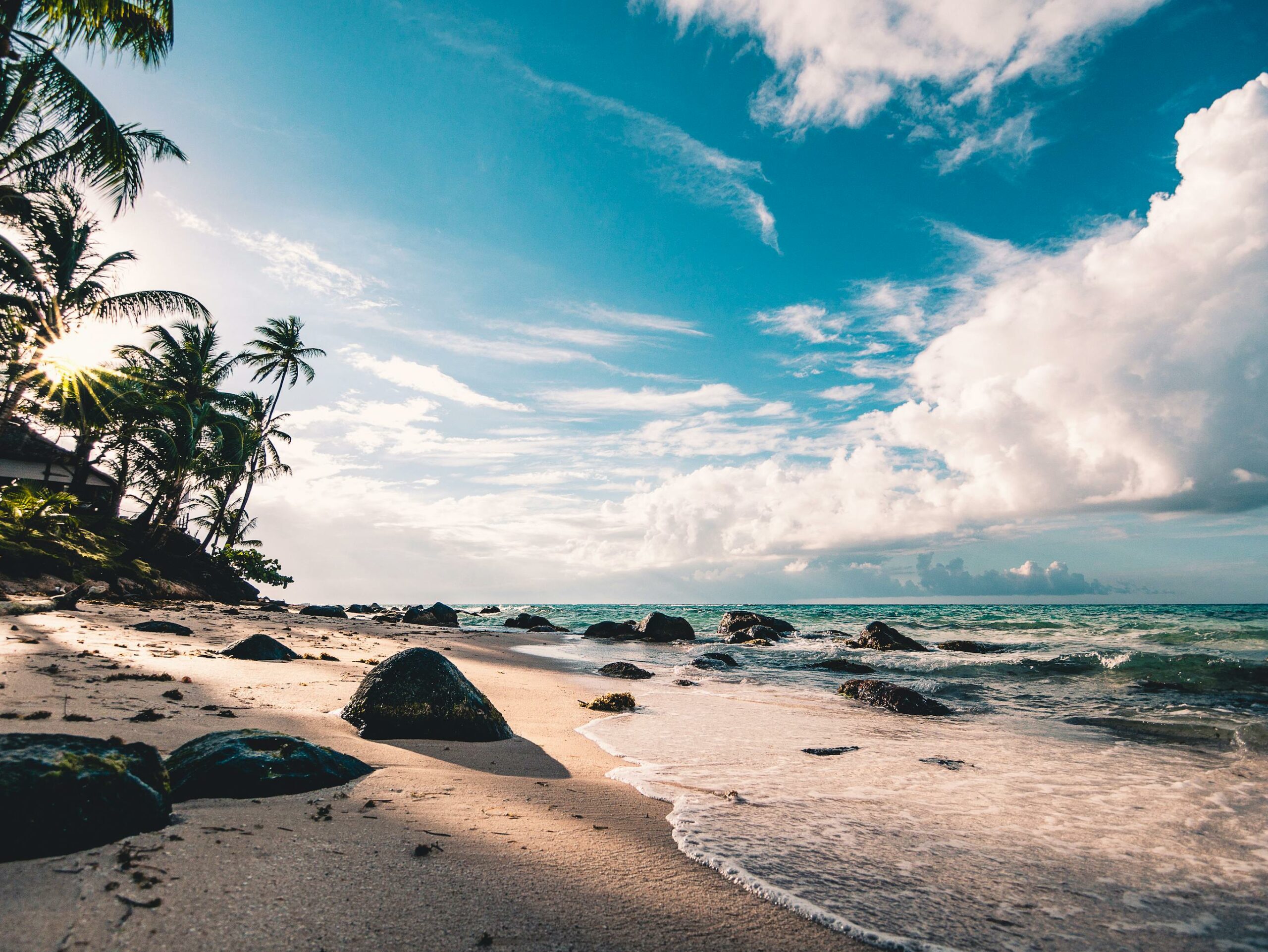 Tropical beach with palm trees and ocean waves